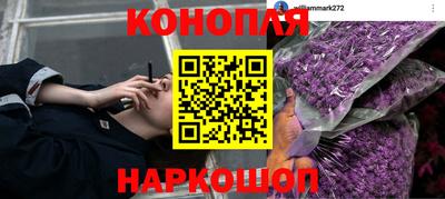 дживик Будённовск