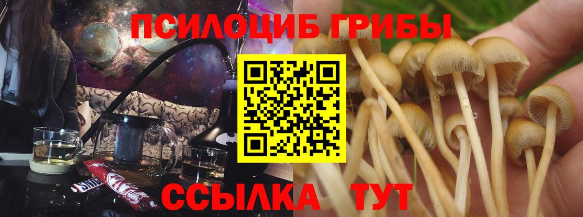 Псилоцибиновые грибы ЛСД  Вход с VPN  Краснодар 