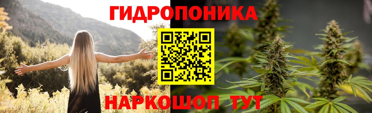 Шишки марихуана марихуана  МАРИХУАНА Amnesia  Вход с VPN  Краснодар  Конопля Ganja 